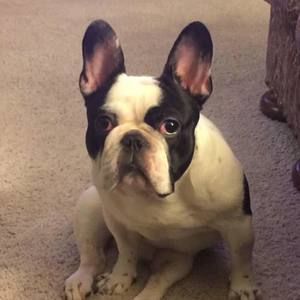 Meet your Posher, Haiyan